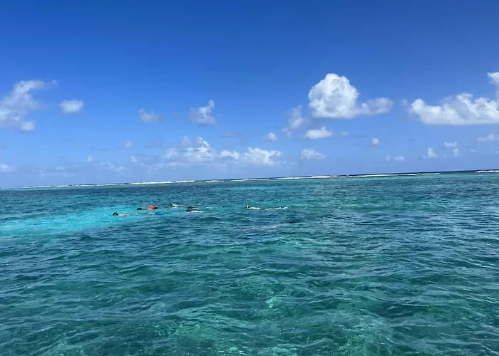Residences At Barrier Reef 11b Partial Ocean View 2 Bedroom By Floreo * San Pedro (Ambergris Caye)