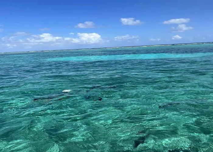 Residences At Barrier Reef 11b Partial Ocean View 2 Bedroom By Floreo Holiday home *