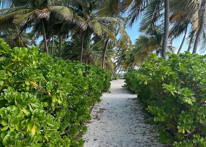 Residences At Barrier Reef 11b Partial Ocean View 2 Bedroom By Floreo San Pedro (Ambergris Caye)